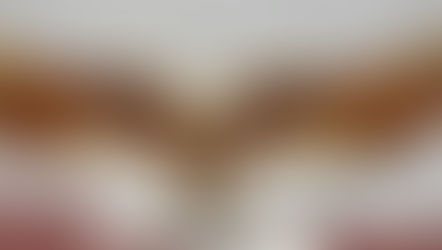 Horloge prophétique et divine : Âge de l’obscurité du matin et arrivé de l’Etoile du Matin .