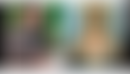 Histoire des réveils de l’église corps du christ dans les continents.