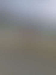 Growing Through Failure: Lessons Learned On The Trail