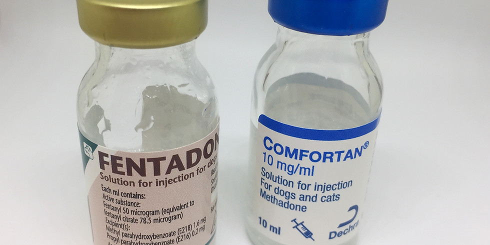 Acute pain: why are we using these drugs?