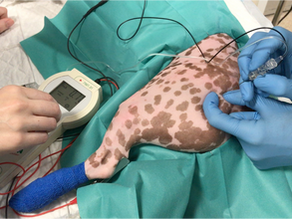 Regional Anaesthesia for Stifle Surgery