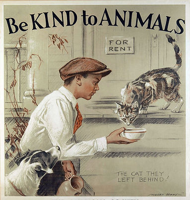 Be kind to animals (2).jpg