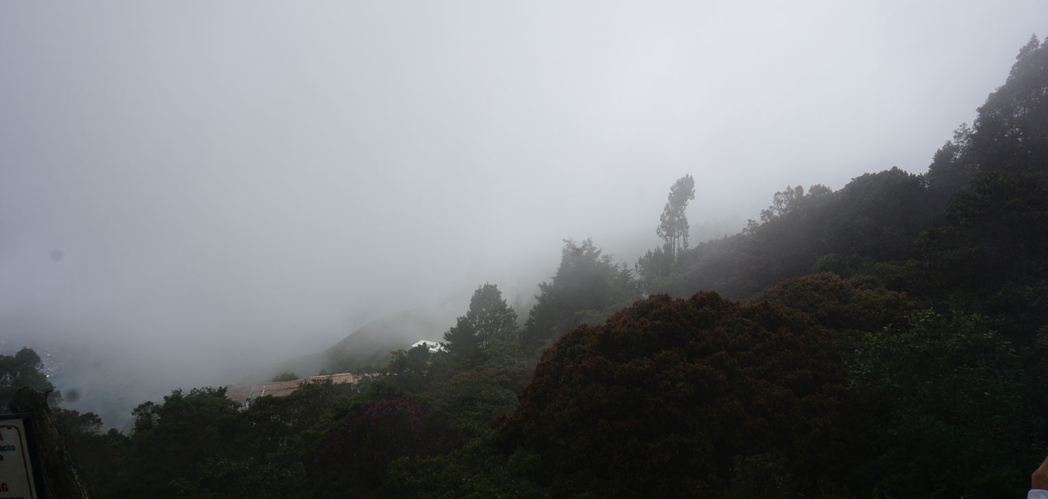 DSC04783.JPG