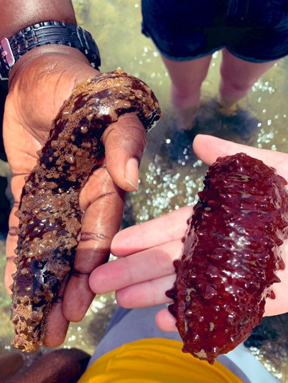 Slimy Hands