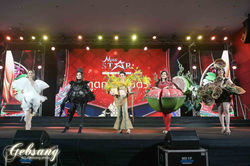 Miss Star-41