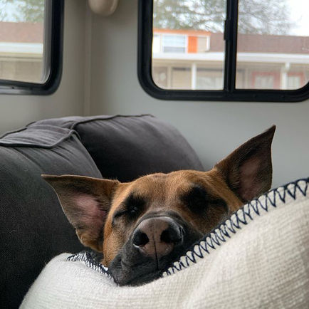 82327667_163537654972857_1349996432489472695_n