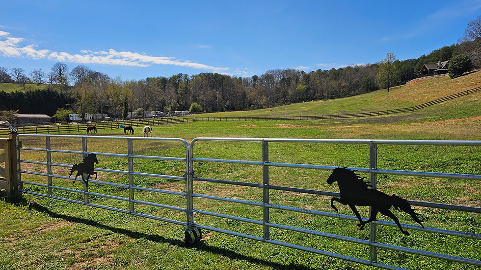 Horse Boarding and Camping in the Smoky Mountains: The Ultimate Guide to Traveling with Your Horse