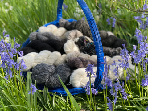 Hand Roo'd Shetland Yarn