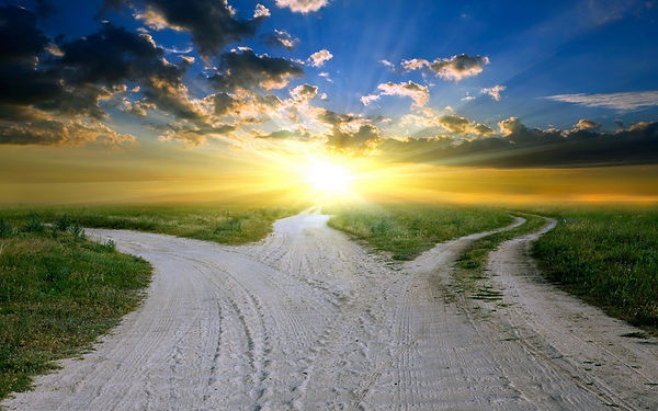 Many.paths.jpeg