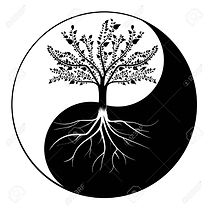 yin.yang.jpeg