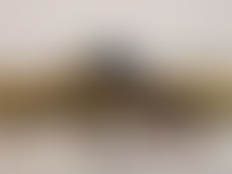 Motorsport Ireland Rally Academy founder John Coyne and driver Josh McErlean are going on Safari