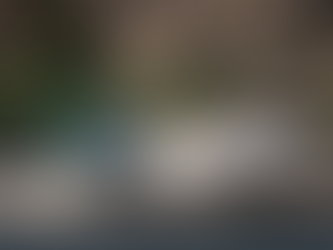 Rally Academy founder returns to WRC Mexico to give up-and-coming Co-Driver world debut