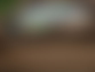 Rally Academy crews participate in Finland this weekend