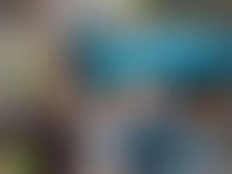 Caldwell & Kierans claim Irish Forest Rally title