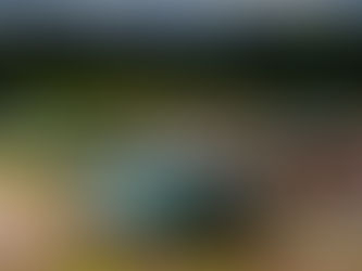 History-making John Coyne finishes World Rally Championship event at 73