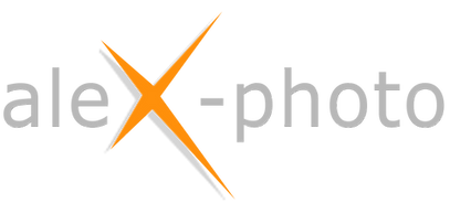 LogotextGrau ohne Text.png