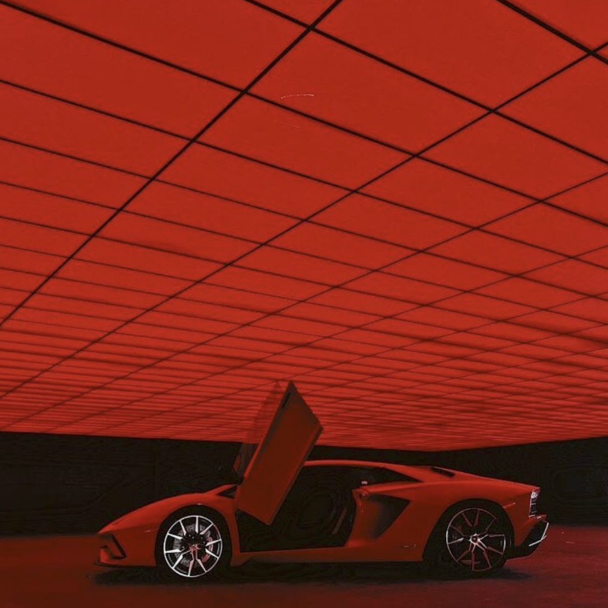 Red Future ...