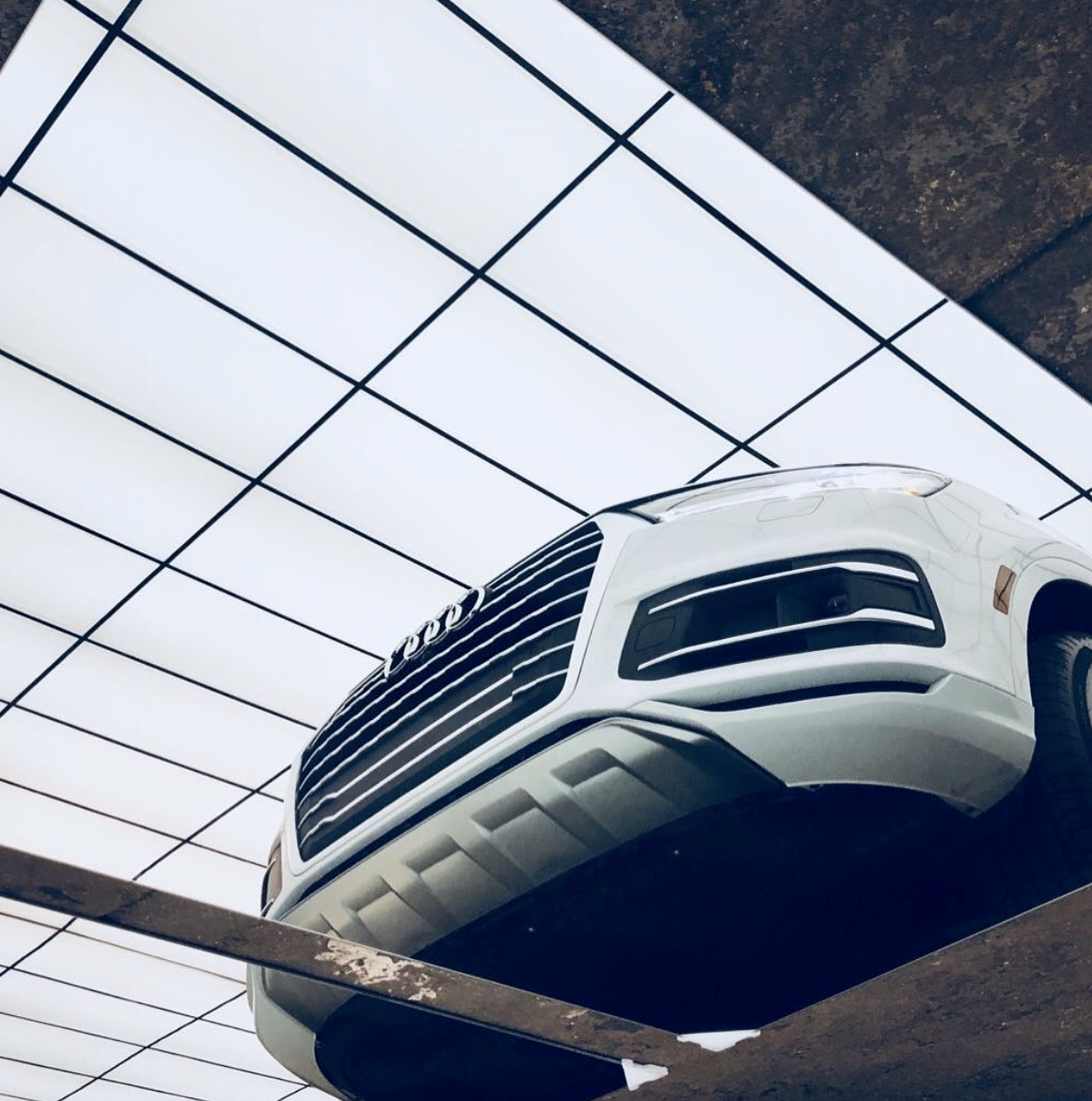 White Future ...