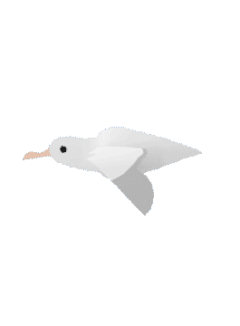 albatrossSmall8.gif