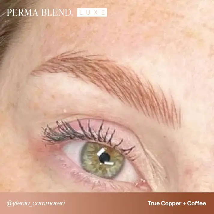 Miniature : TRUE COPPER LUXE PERMABLEND SOURCILS