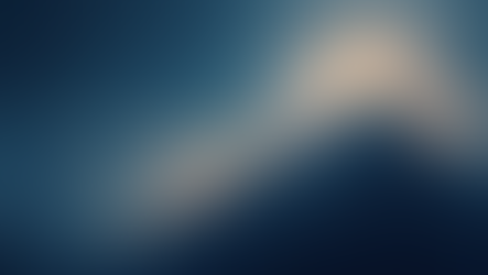 Leveraging Brand Equity to Transform from Challenger to Category Leader