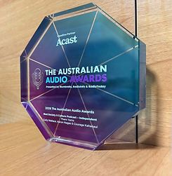 Australian Audio awards 2_edited.png