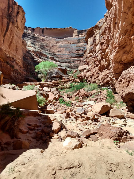 Grand Gulch Convergance