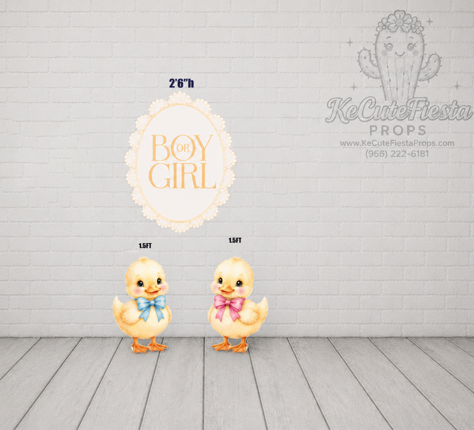 JL1958HS Gender Sign Chicks