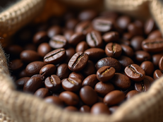 What to Look for in a Wholesale Coffee Partner