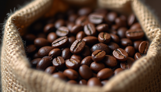 What to Look for in a Wholesale Coffee Partner