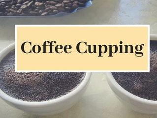 Exploring the Art of Coffee Cupping: An Introductory Guide