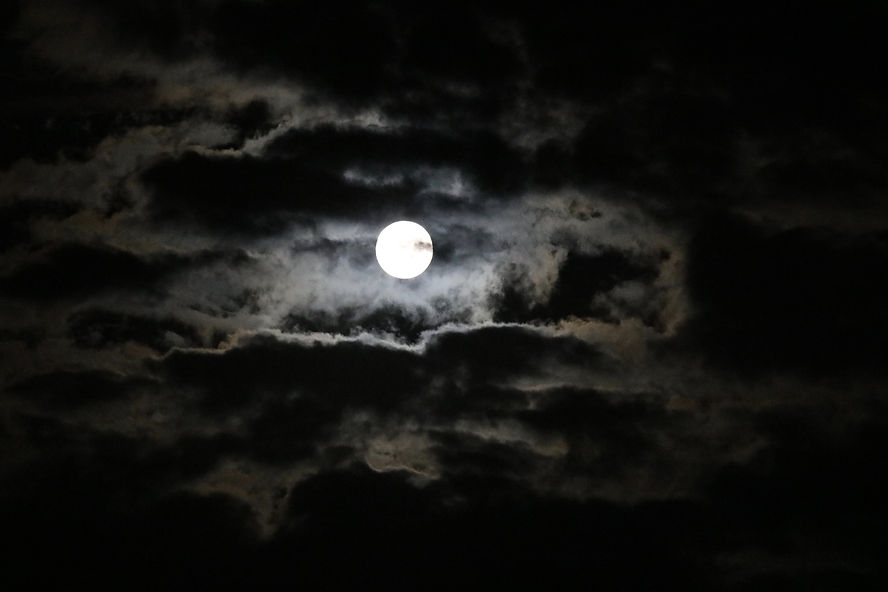 goodlynx-moon-3738093.jpg