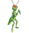 Mascote_Dedetizadora Louva-a-deus