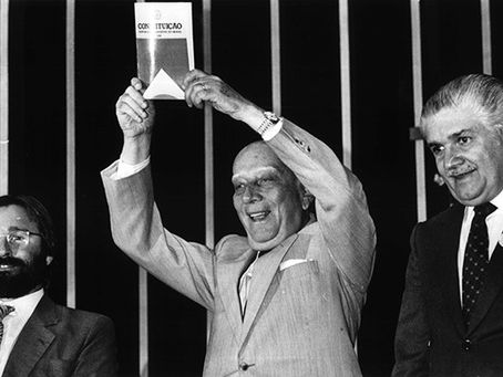 Direito civil-constitucional: principais contornos e repercussões no ordenamento jurídico brasileiro