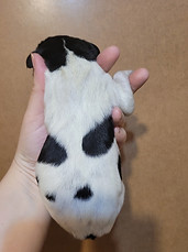 Claude Black Body.jpg