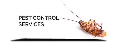 Bedbug911 Pest Control Services