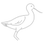 avocet.png