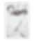 18.png