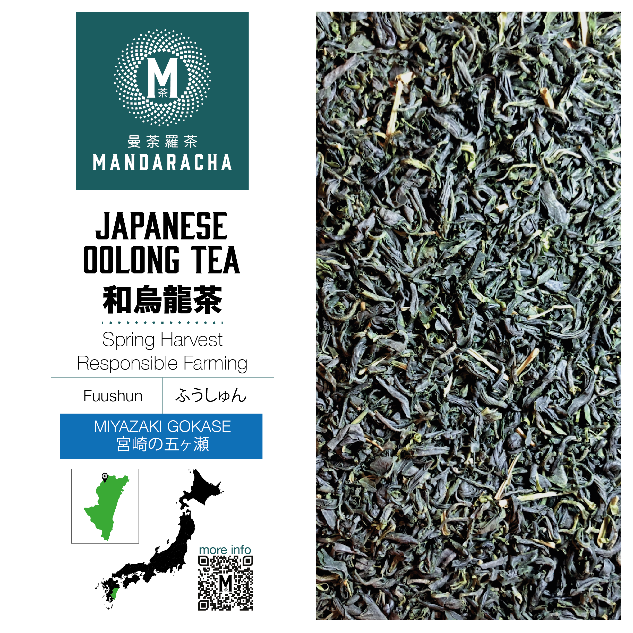 MIYAZAKI GOKASE OOLONG