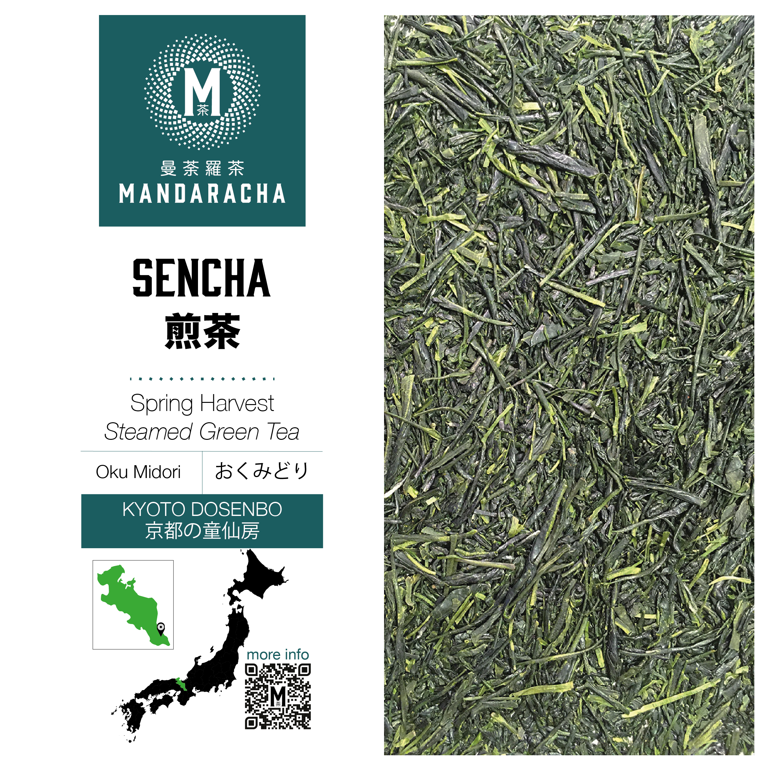 京都童仙房煎茶