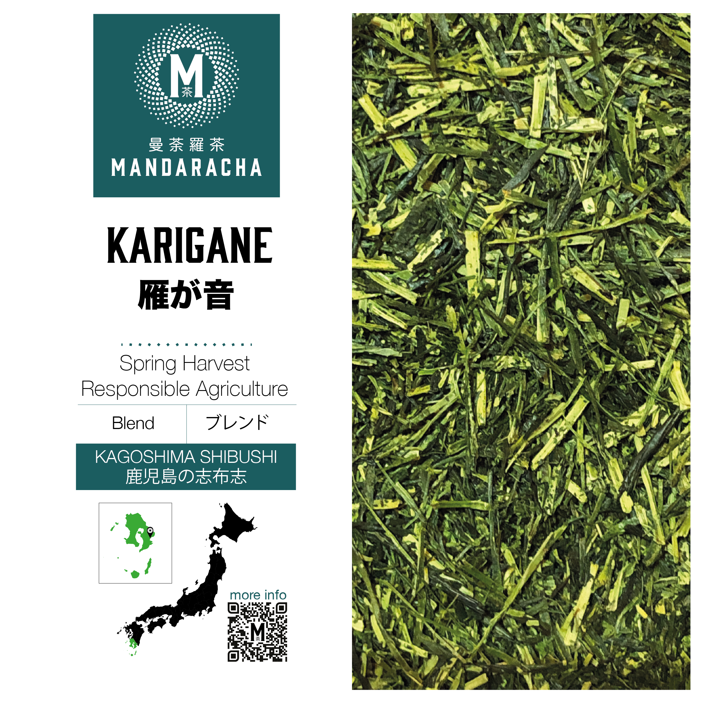 鹿児島志布志雁ケ音