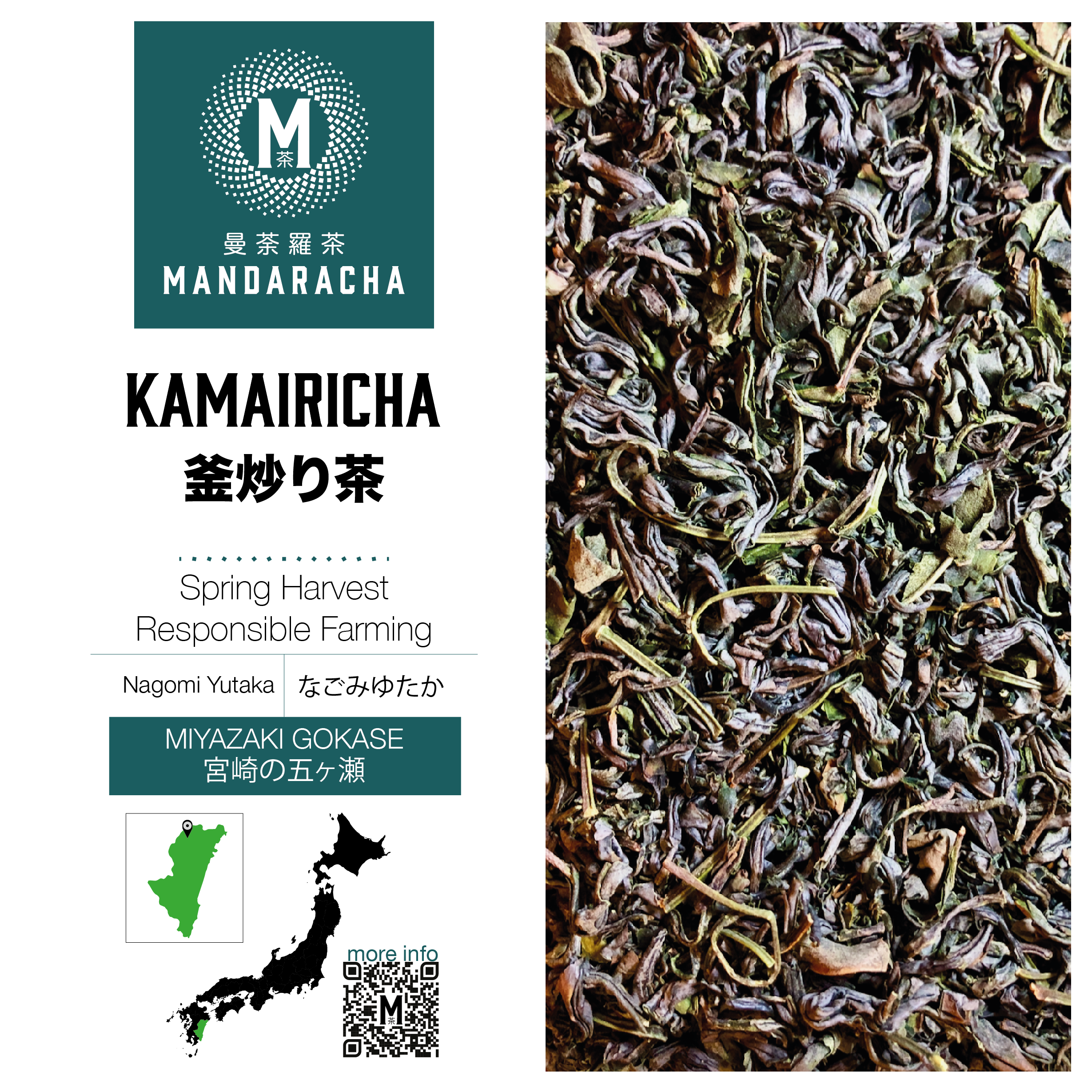 MIYAZAKI GOKASE KAMAIRICHA