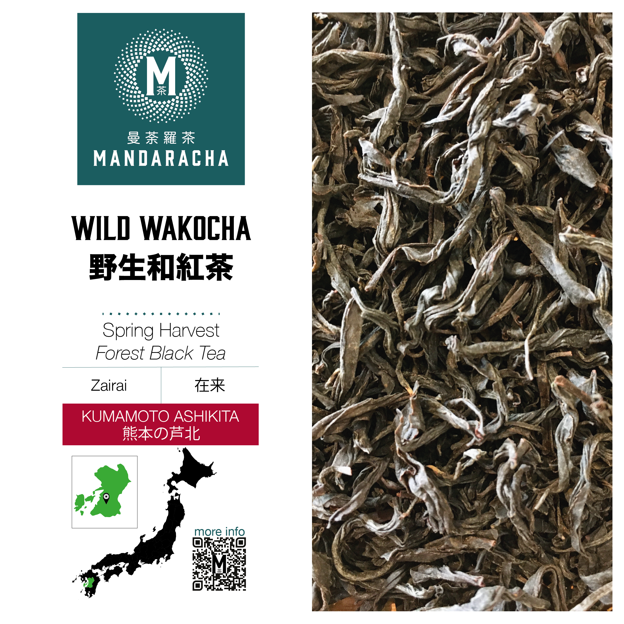 熊本芦北天然和紅茶