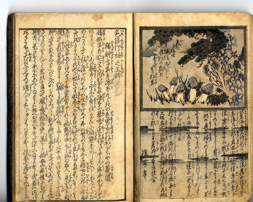 Miniature : 1860 - Shozan -  Shunga Picture Book - GREAT Ero Scenes!