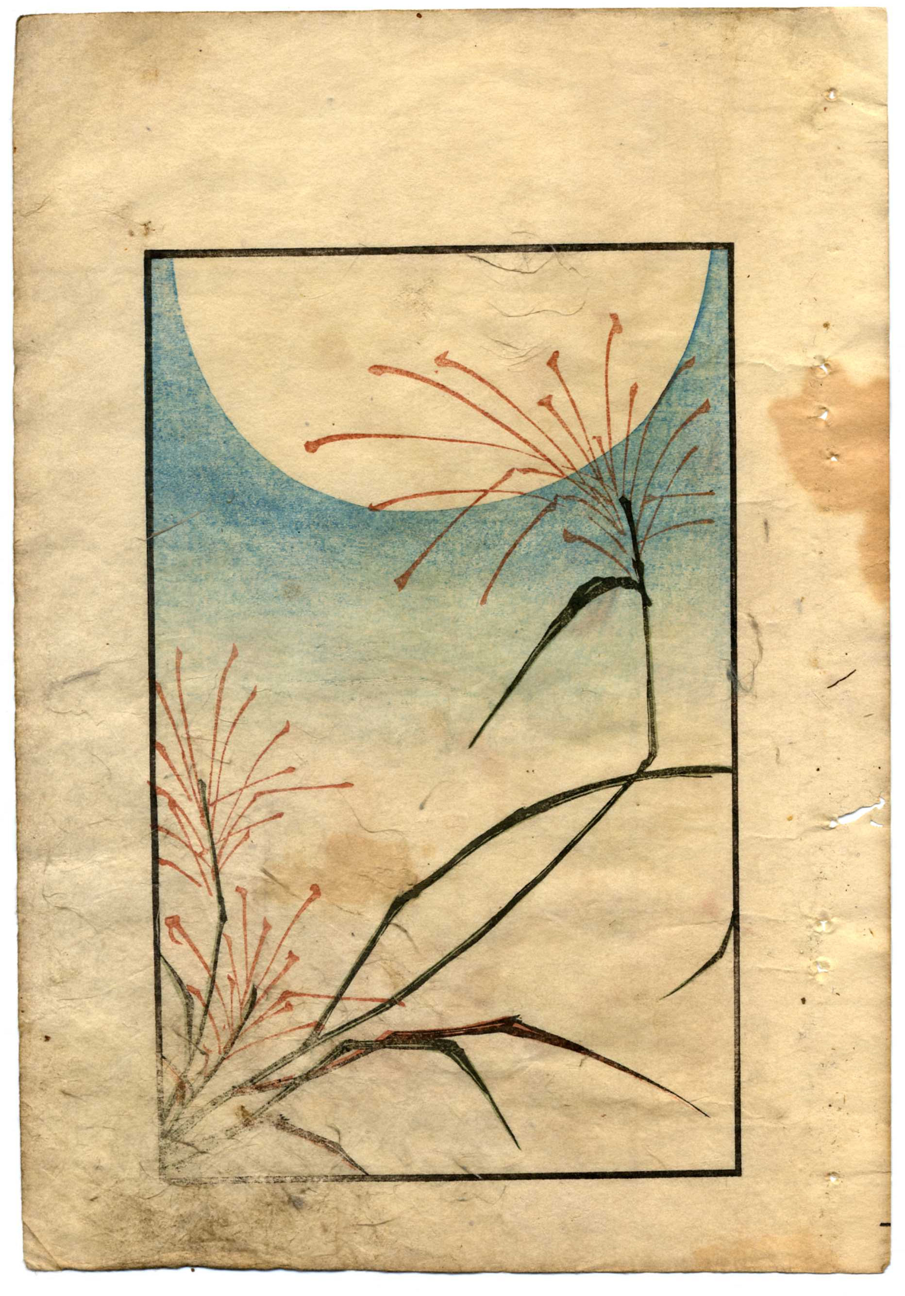 shungaisart - 1831 - Sadatora - Japanese Woodblock Print - Autumn Full Moon - Susuki