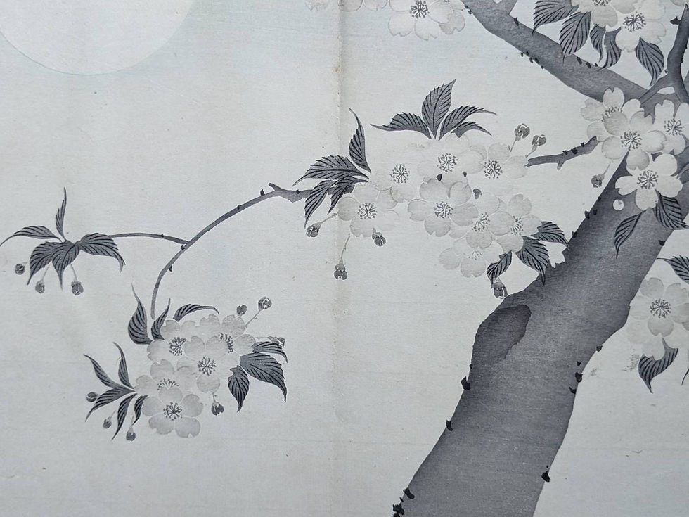 Miniature : shungaisart - 1905 - Ikeda Terukata shunga - Sakura artwork - Full Moon - Japanese woodblock print - antique Japanese art