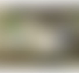 A shift in the waste sector: LIFE GREEN ADAPT increases the resilience of EU waste infrastructure