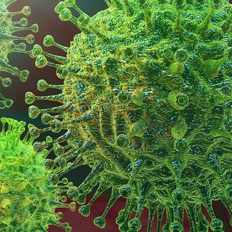 Responses to the Coronavirus Pandemic