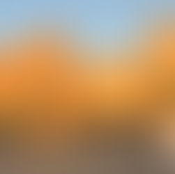 UNESCO Chair on Sustainability at COP16 on Desertification in Riyadh