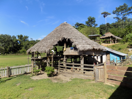 Nuevas intervenciones de vivienda y arquitectura desde la cosmovisión de los Embera Katío-Colombia